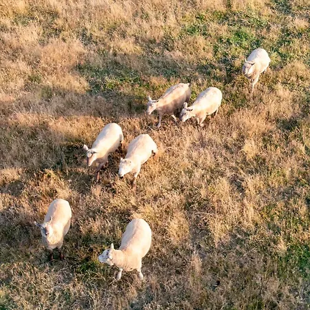 Hébergement de vacances Maison Proche Sables D'olonne 8p Sainte-Foy (Vendee)