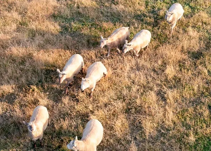 Casa de Férias Maison Proche Sables D'olonne 8p Sainte-Foy (Vendee)